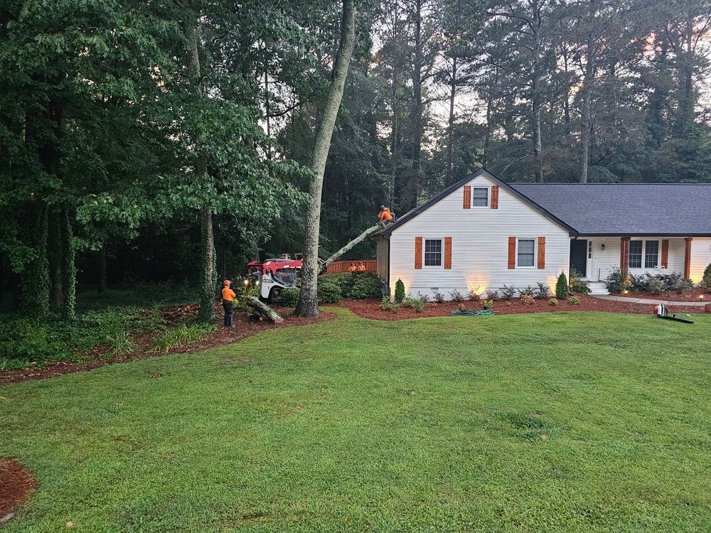 Tree being cut near a house; two workers in orange vests, one in a lift, one on the ground; grass and trees.